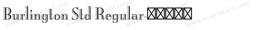 Burlington Std Regular字体转换